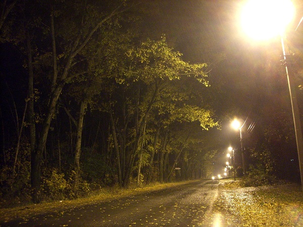 Ночное вождение осенью